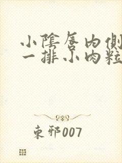 小阴唇内侧长了一排小肉粒