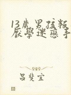 13岁男孩叛逆厌学迷恋手机怎么办