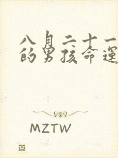 八月二十一出生的男孩命运