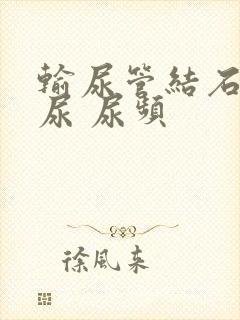 输尿管结石 血尿 尿频