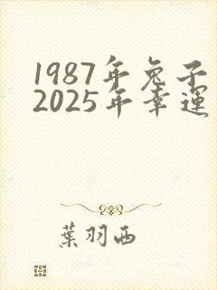 1987年兔子2025年幸运颜色