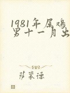 1981年属鸡男十一月出生的命运