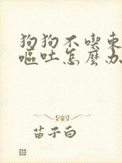 狗狗不吃东西还呕吐怎么办封面