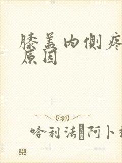 膝盖内侧疼痛的原因