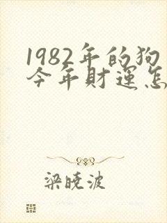 1982年的狗今年财运怎么样