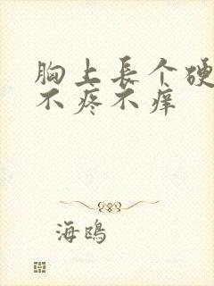 胸上长个硬疙瘩不疼不痒