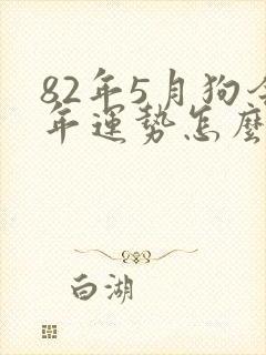 82年5月狗今年运势怎么样封面