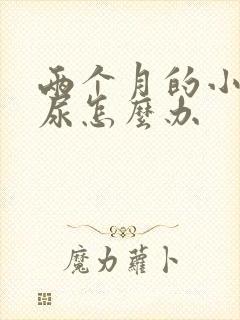 两个月的小猫乱尿怎么办封面