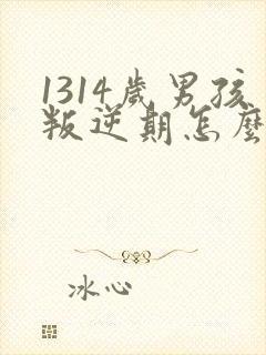 1314岁男孩叛逆期怎么办