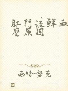 肛门流鲜血是什么原因