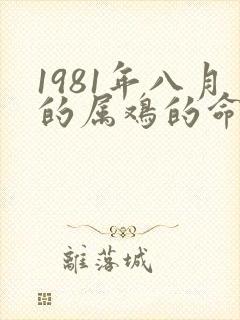 1981年八月的属鸡的命运封面