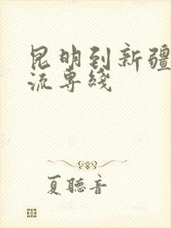 昆明到新疆的物流专线封面