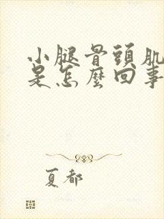 小腿骨头肌肉疼是怎么回事