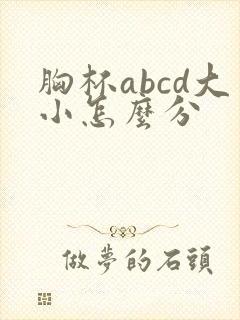 胸杯abcd大小怎么分封面