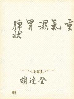 脾胃湿气重的症状