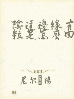 阴道边缘有小肉粒是怎么回事