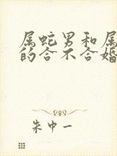 属蛇男和属虎女的合不合婚