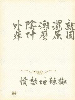 外阴潮湿就会瘙痒什么原因