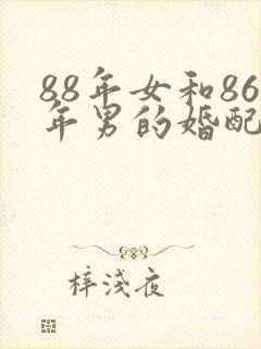 88年女和86年男的婚配好吗封面