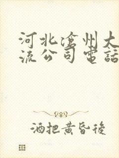 河北沧州大件物流公司电话