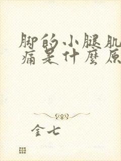 脚的小腿肌肉酸痛是什么原因造成呢