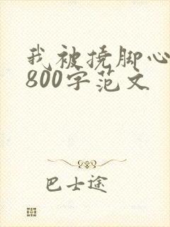 我被挠脚心作文800字范文封面