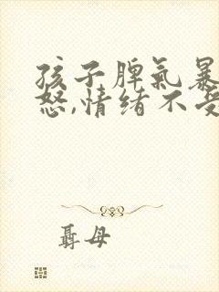 孩子脾气暴躁易怒,情绪不受控制,怎么办