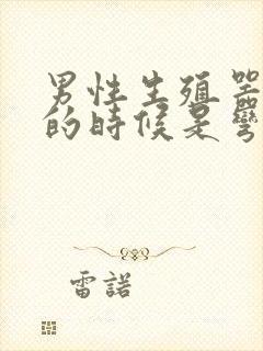 男性生殖器勃起的时候是弯的怎么办封面