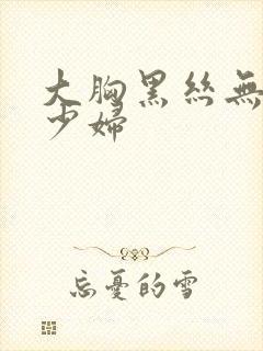 大胸黑丝无内美少妇