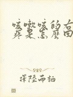 咳嗽咳的右边胸疼是怎么回事封面