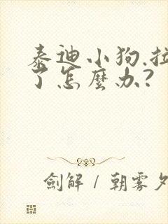 泰迪小狗.拉稀了怎么办?