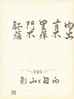 肛门里有肉球不痛不痒不出血