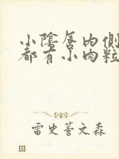 小阴唇内侧两边都有小肉粒封面