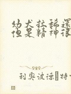 幼犬拉稀还带血但是精神很好封面