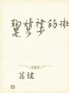 鞠婧祎的微信号是多少封面