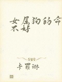 女属狗的命运好不好封面