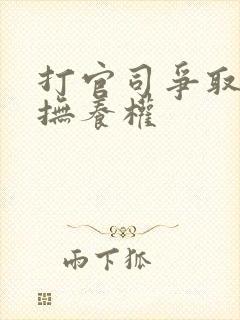 打官司争取孩子抚养权