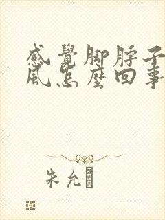 感觉脚脖子冒凉风怎么回事