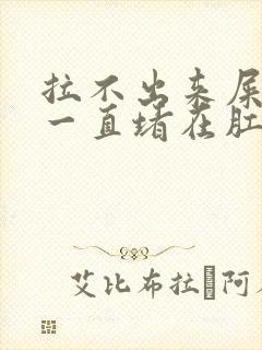 拉不出来屎感觉一直堵在肛门怎么办封面