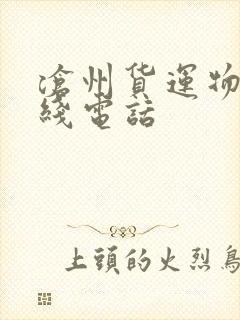 沧州货运物流专线电话