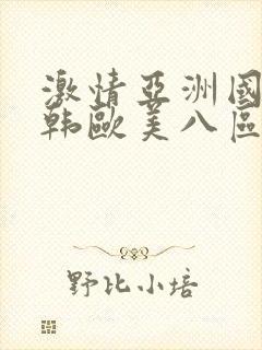 激情亚洲国产日韩欧美八区综合网