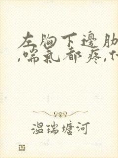 左胸下边肋骨疼,喘气都疼,什么症状