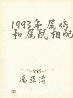 1993年属鸡和属鼠相配吗
