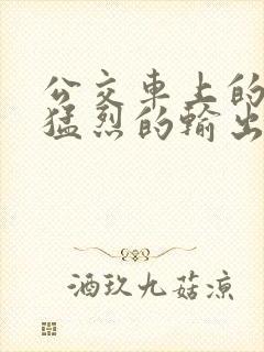 公交车上的诗请猛烈的输出阅读