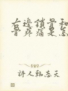 右边锁骨和肩胛骨疼痛是怎么回事