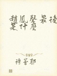 赵凤声最后结局是什么封面