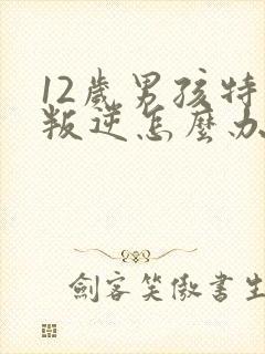 12岁男孩特别叛逆怎么办封面