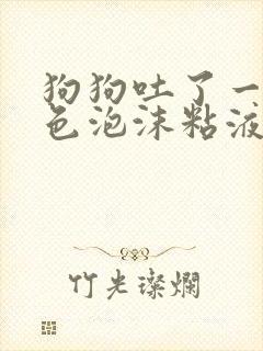 狗狗吐了一滩白色泡沫粘液还拉稀