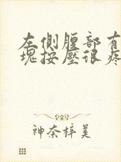 左侧腹部有个肿块按压很疼封面