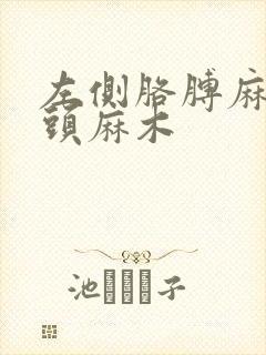 左侧胳膊麻左边头麻木